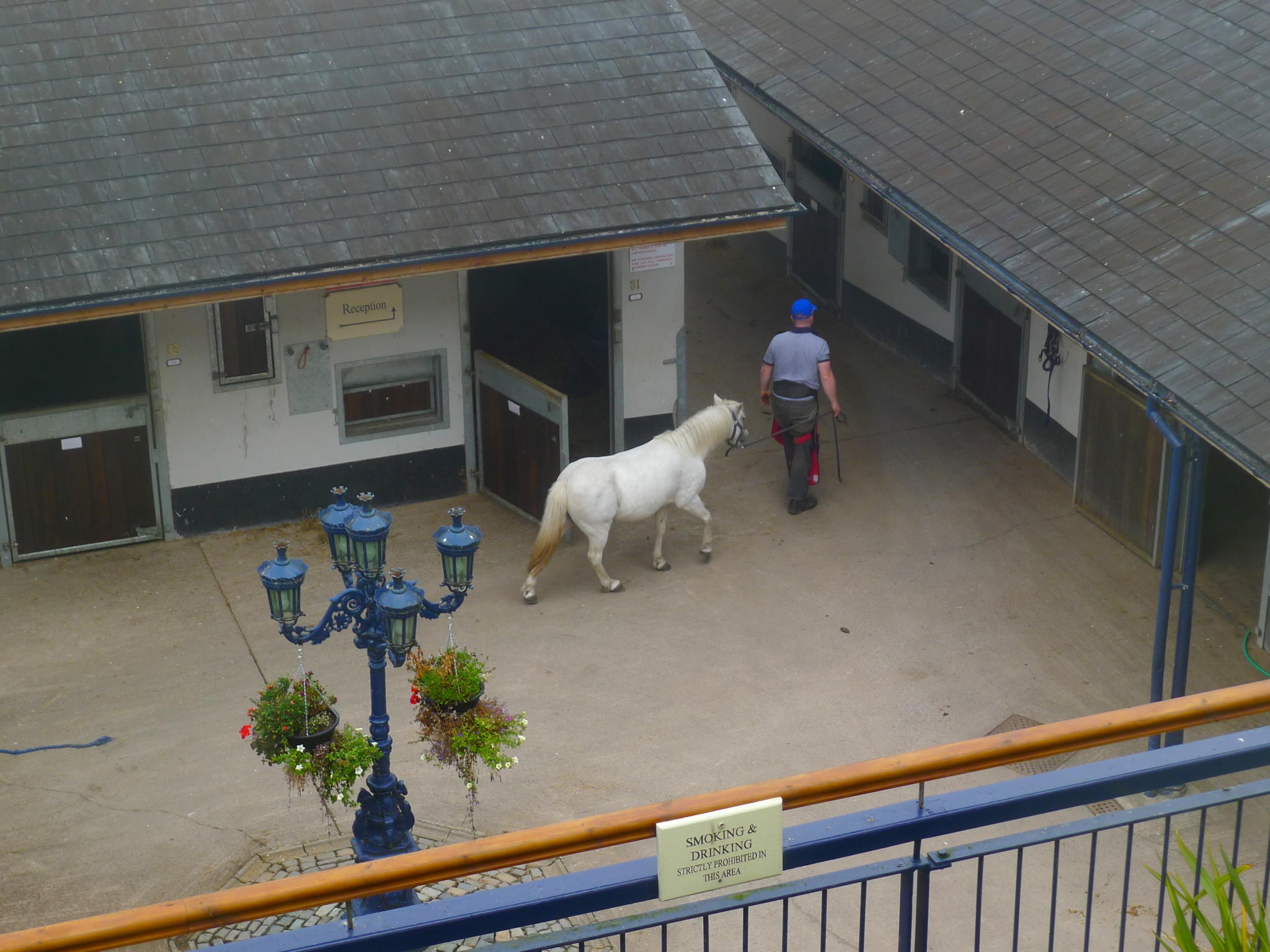 Overlooking Equestrian Center