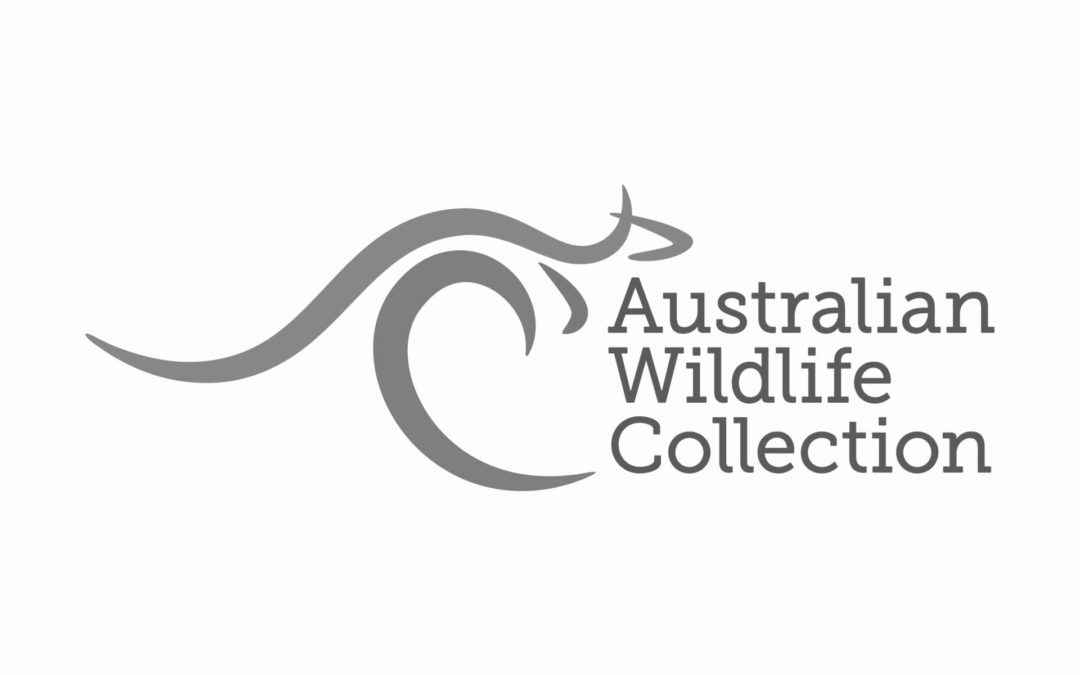 Australian Wildlife Collection
